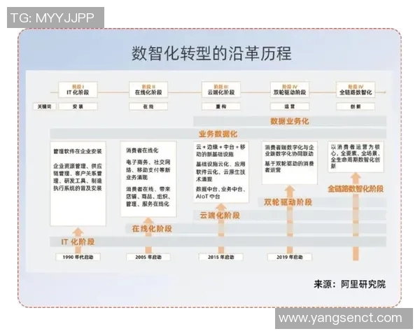 上海排球队转型之路揭秘:从传统强队到现代化竞技新标杆 上海排球队转型之路揭秘:从传统强队到现代化竞技新标杆