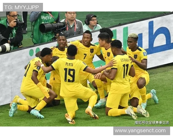 南京排球队勇闯世界杯预选赛的传奇逆袭之路与背后故事