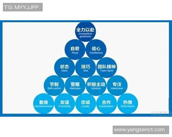 杭州足球队的团队协作探讨与发展之路解析