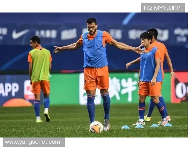 深圳网球队实力分析与表现评估的全面研究与探讨