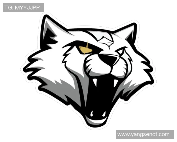 热议CSGO：JDG战队意识转变带来的全新战略思考与战术革新