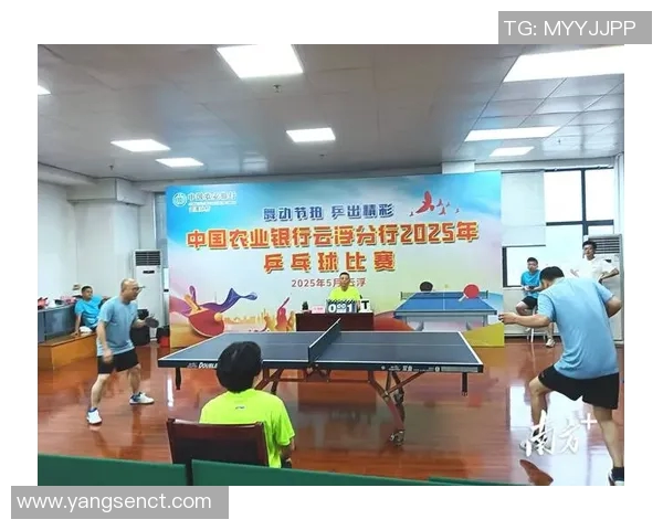 赵芳独家分享乒乓球技巧与心得助你提升球技的秘诀与经验