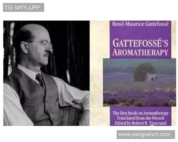 专访吴丽：探寻CSGO背后的成功秘诀与发展历程