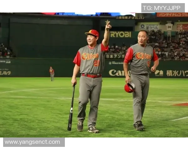 李丽的排球旅程：从初学者到国家队的奋斗与成长