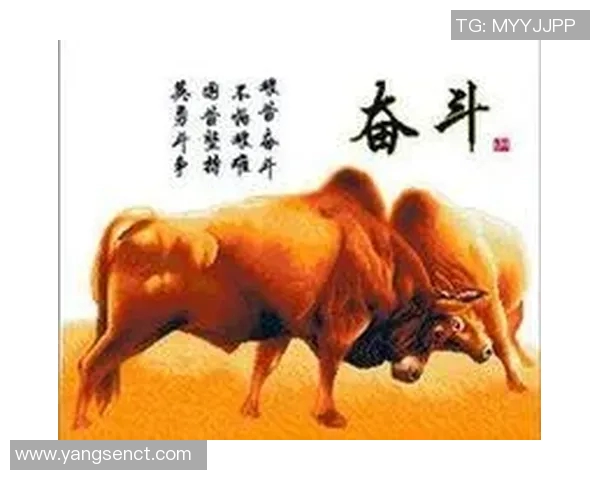 从草根到巨星的足球传奇之路:一位明星的奋斗与荣耀 从草根到巨星的足球传奇之路:一位明星的奋斗与荣耀