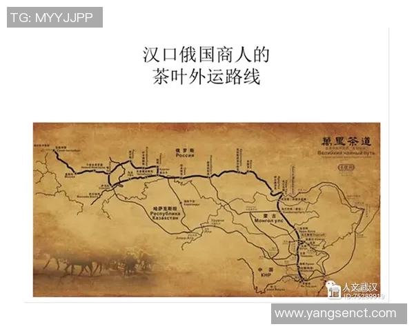 南京足球队的节奏解析与战术深度探讨之旅 南京足球队的节奏解析与战术深度探讨之旅